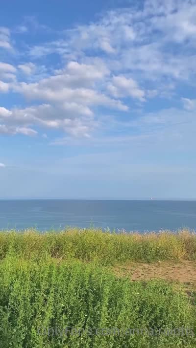 OnlyFans - Anna Ralphs - Outdoor Doggy Quickie rq.mp4